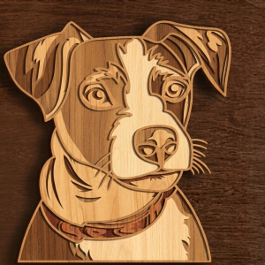 Portrait Jack Russell